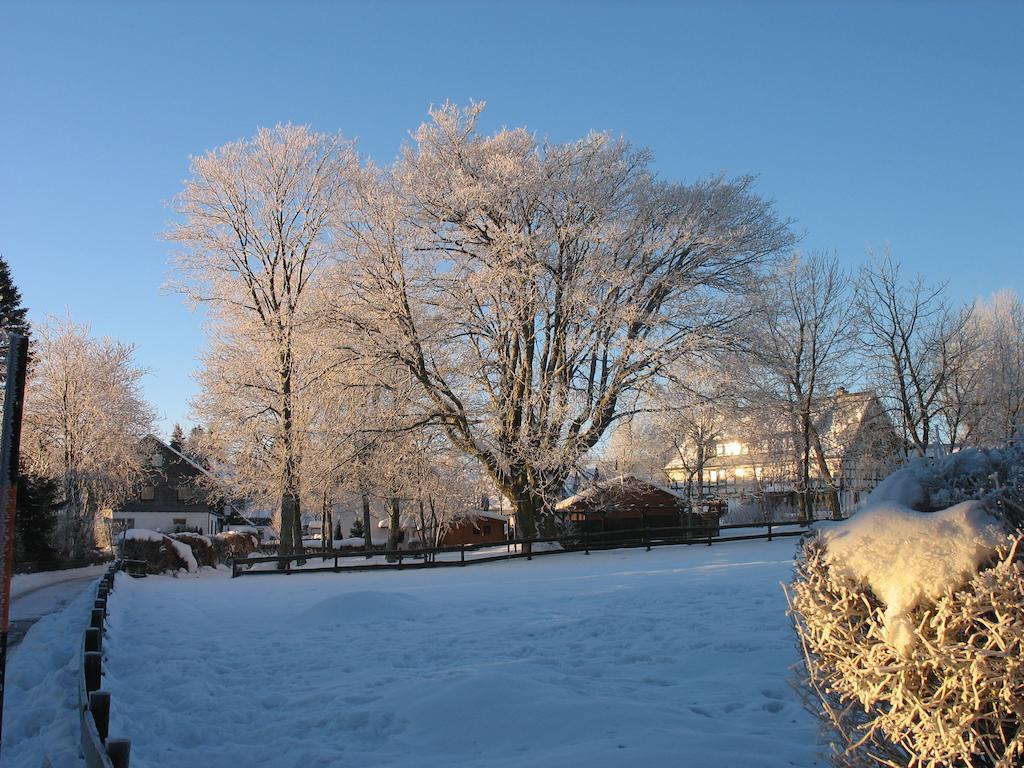 Ferienwohnungen Landgasthof Gilsbach Winterberg Exteriör bild